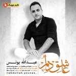 عاشق دلم اثر جید از عبدالله یونس